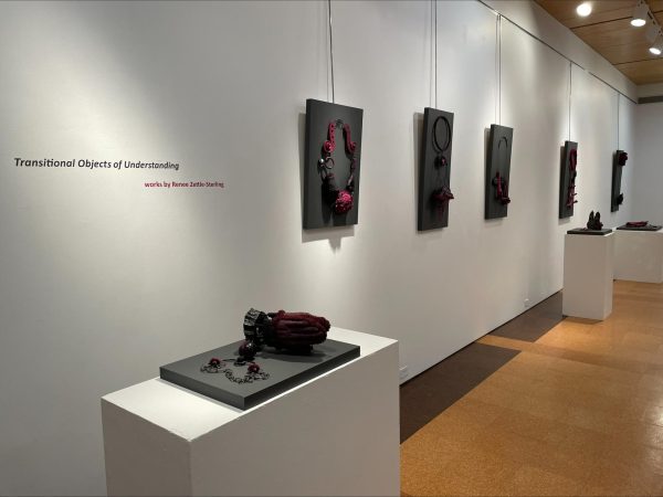 "Transitional Objects of Understanding" is on Display in the Manderino Library